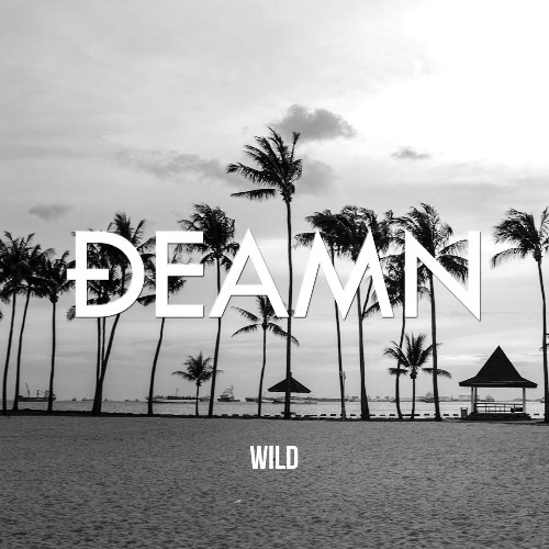 Wild (Single)