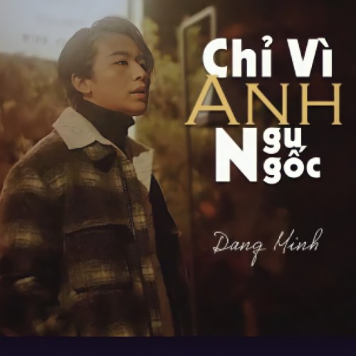 Chỉ Vì Anh Ngu Ngốc (Single)