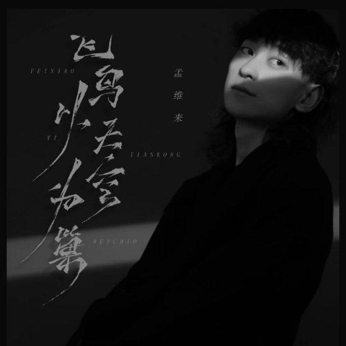 Chim Lấy Bầu Trời Làm Tổ (飞鸟以天空为巢) (Single)