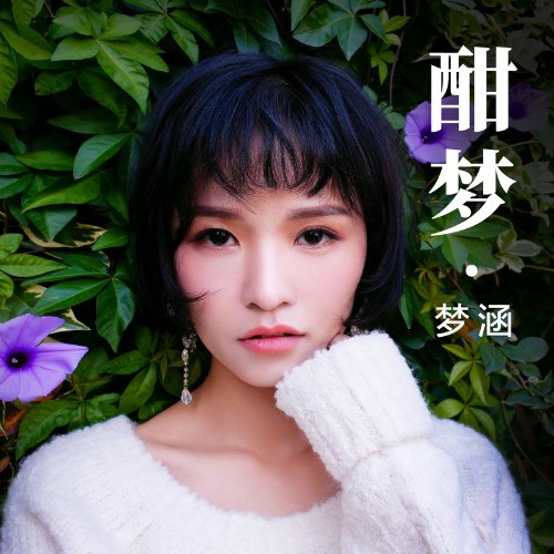 Giấc Mơ Ngọt Ngào (酣梦) (Single)