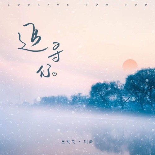 Theo Đuổi Anh (追寻你) (Single)