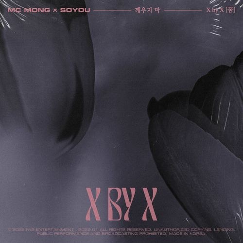 X By X [Dream] (Single)