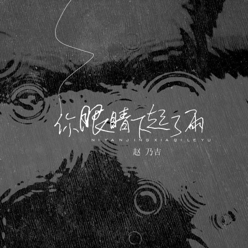 Mưa Trên Đôi Mắt Anh (你眼睛下起了雨) (Single)