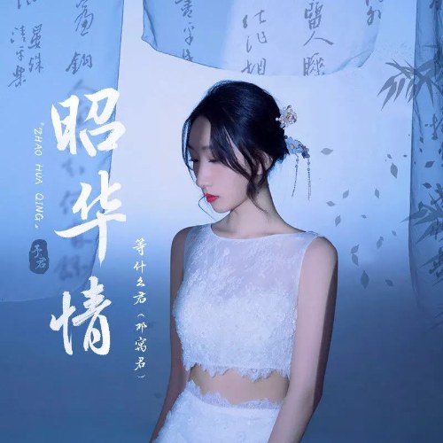 Chiêu Hoa Tình (昭华情) (DJ A Trác Bản / DJ阿卓版) (Single)