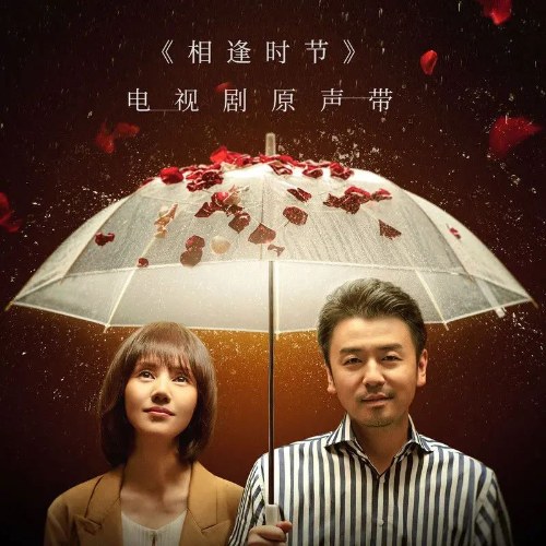 Mùa Gặp Gỡ - Challenges At Midlife (相逢时节 电视剧原声带) (OST)