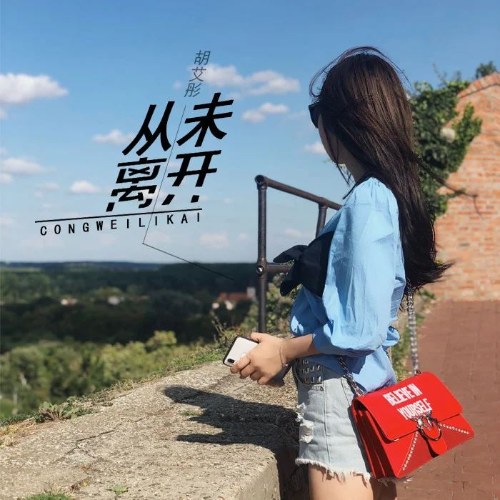 Chưa Từng Rời Đi (从未离开) (Single)