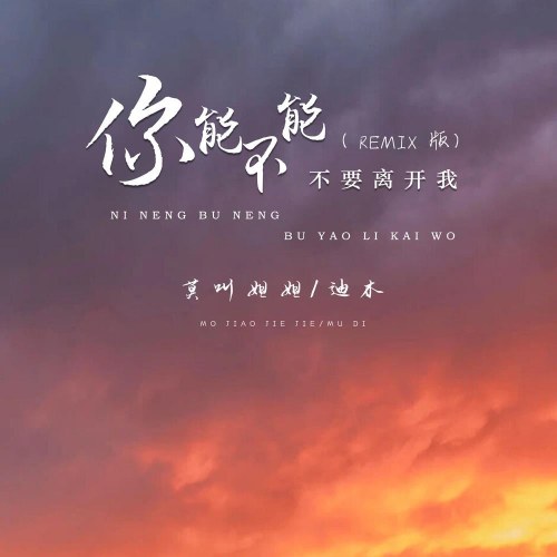 Anh Có Thể Đừng Rời Xa Em Được Không (你能不能不要离开我) (Remix版) (Single)