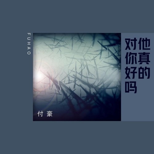 Anh Ta Có Thực Sự Tốt Với Em (他真的对你好吗) (Single)