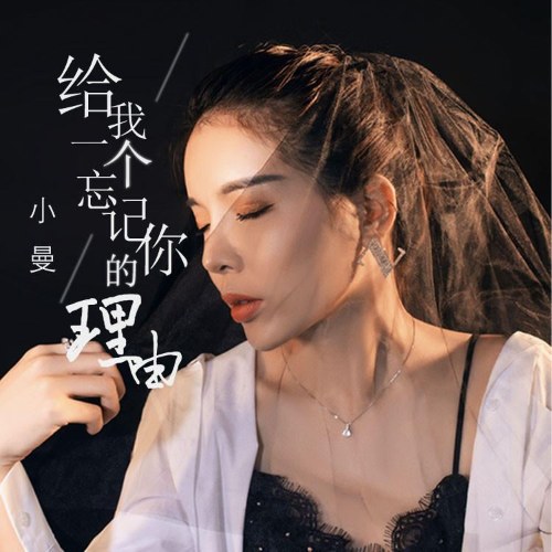 Hãy Cho Em Một Lý Do Để Quên Anh (给我一个忘记你的理由) (EP)