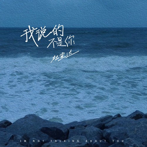 Anh Không Nói Về Em (我说的不是你) (Single)