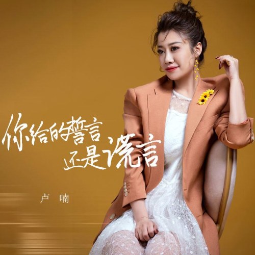 Lời Thề Anh Trao Chỉ Là Lời Nói Dối (你给的誓言还是谎言) (Single)