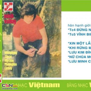 Tân cổ giao duyên 1