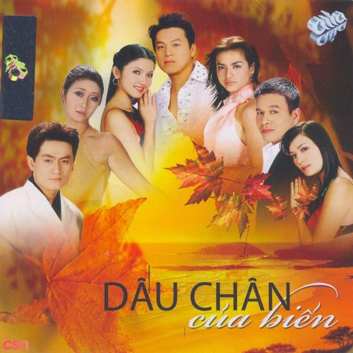 Dấu Chân Của Biển