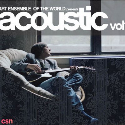 Art Ensemble Of The World Presents Accoustic Vol. 1