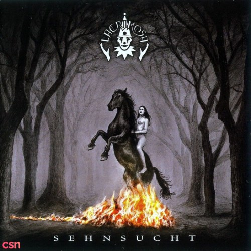 Sehnsucht (Special Edition)