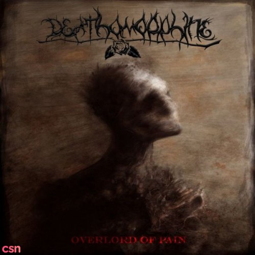 Overlord of Pain (Single)