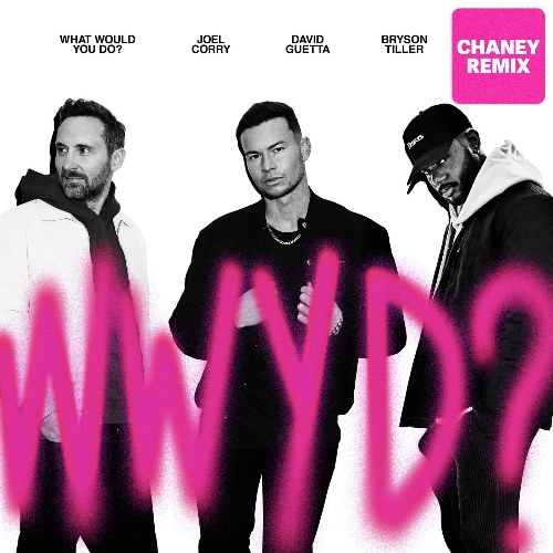 What Would You Do? (CHANEY Extended Remix)