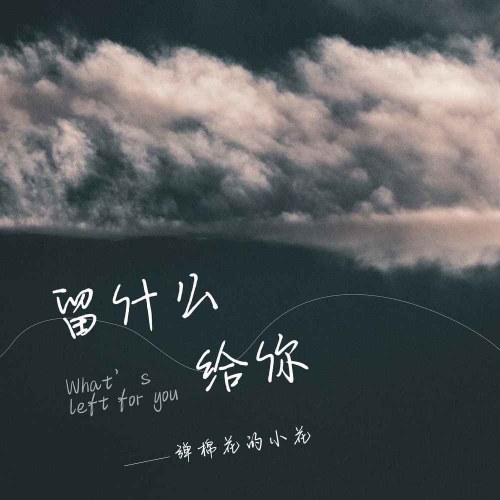 Để Lại Gì Cho Anh (留什么给你) (Single)
