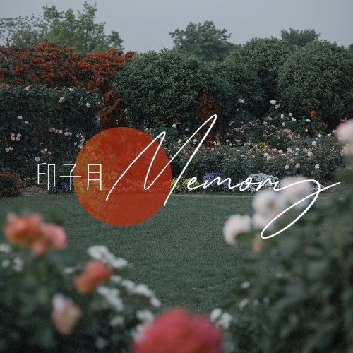 Memory (Single)