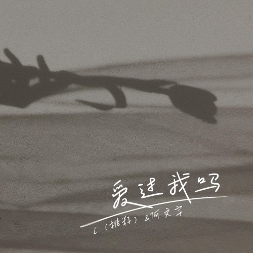 Từng Yêu Em Sao (爱过我吗) (Single)