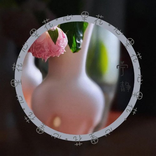 Hoa Trong Trái Tim (心里花) (Single)