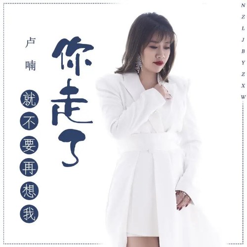 Anh Đi Rồi Đừng Nhớ Em Nữa (你走了就不要再想我) (Single)