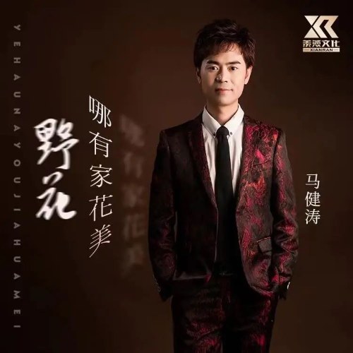 Hoa Dại Nào Đẹp Như Hoa Vườn (野花哪有家花美) (Single)