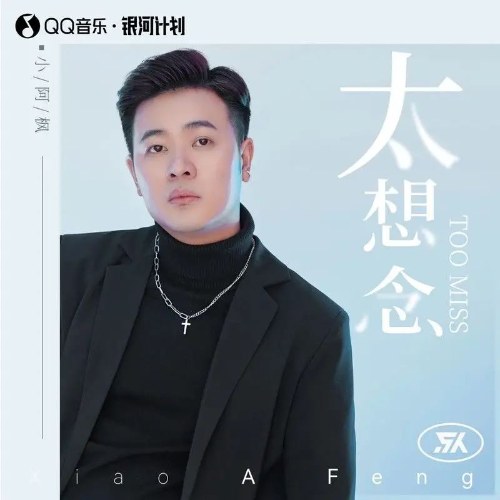 Quá Nhớ Mong (太想念) (DJ Nam Bản / DJ男版) (Single)