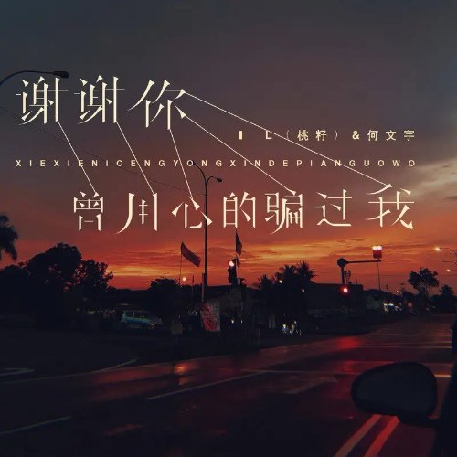 Cảm Ơn Anh, Đã Từng Dụng Tâm Lừa Em (谢谢你,曾用心骗过我) (Single)