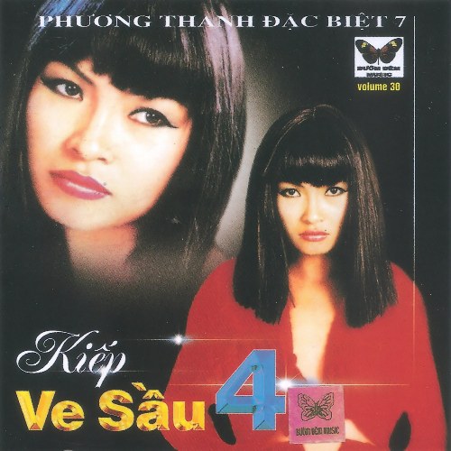 Kiếp Ve Sầu 4