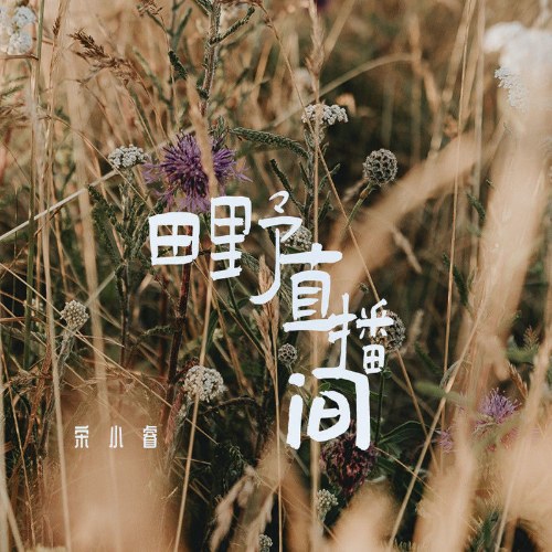 Livestream Trên Cánh Đồng (田野直播间) (Single)