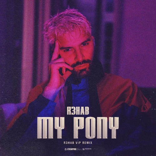 My Pony (R3hab Vip Remix)