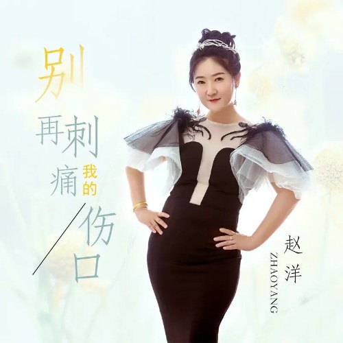 Đừng Thêm Tổn Thương Vào Vết Thương Của Em (别再刺痛我的伤口) (Single)