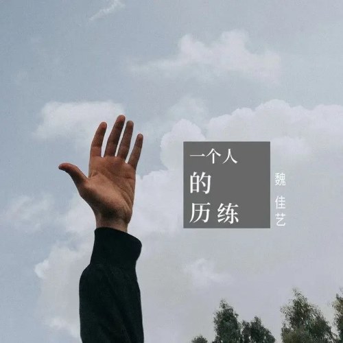Kinh Nghiệm Của Một Người (一个人的历练) (Single)