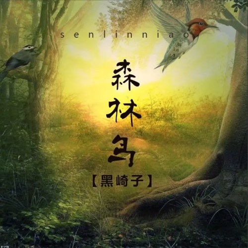 Chim Rừng (森林鸟) (Single)