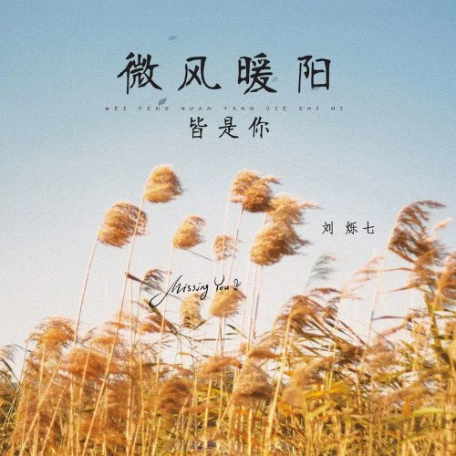 Gió Nhẹ Hay Nắng Ấm Đều Là Anh (微风暖阳皆是你) (Single)
