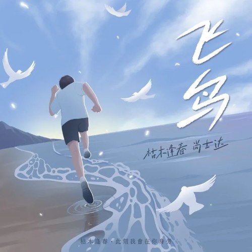 Phi Điểu (飞鸟) (Single)