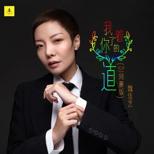 Em Đã Nghe Theo Lời Của Anh (我着了你的道) (DJ A Hào Bản / DJ阿豪版) (EP)