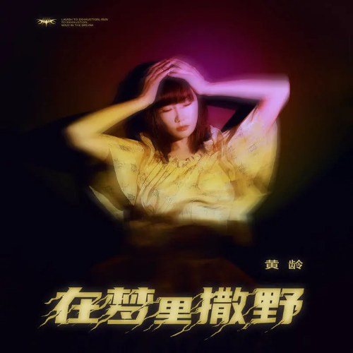 Giương Oai Trong Mộng (在梦里撒野) (Single)