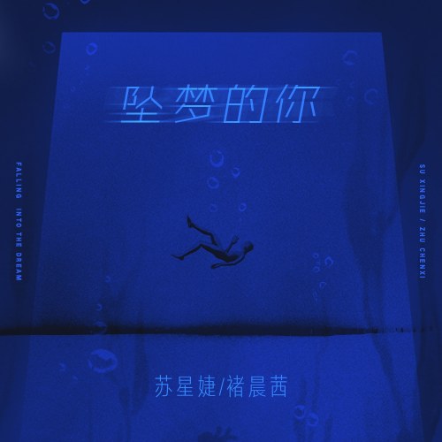 Rơi Vào Giấc Mơ Của Anh (坠梦的你) (Single)