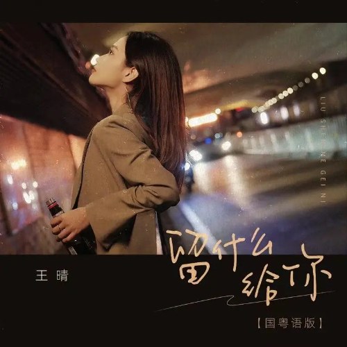Lưu Lại Gì Cho Anh (留什么给你) (Quảng Đông Bản / 国粤语版) (Single)
