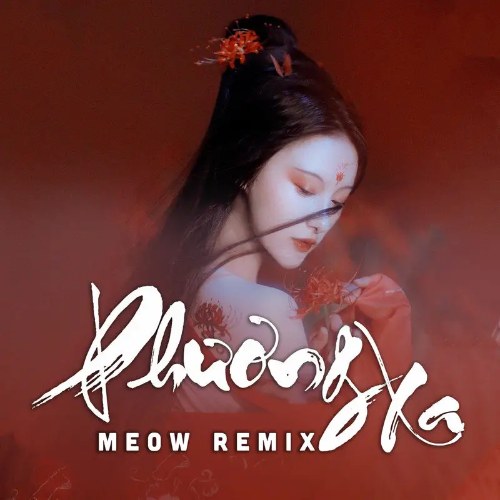 Phương Xa (Meow Remix) (Single)