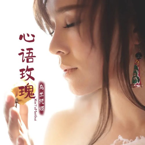 Tâm Ngữ Hoa Hồng (心语玫瑰) (Single)