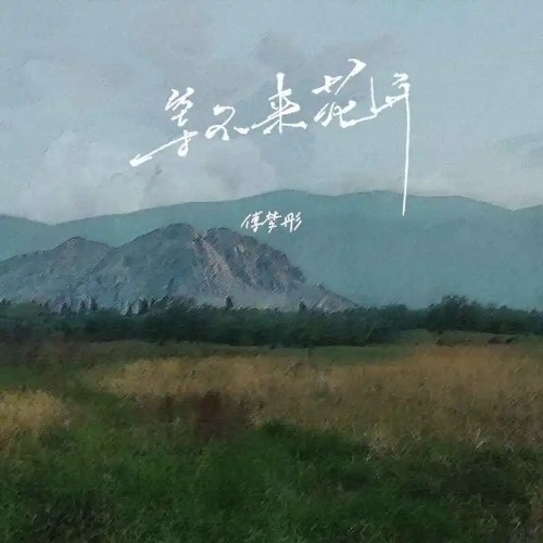 Không Thể Đợi Hoa Nở (等不来花开) (Single)