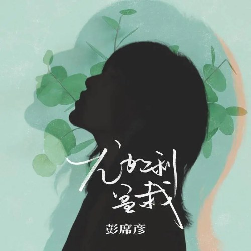 Chậu Cây Bạch Đàn (尤加利盆栽) (Single)