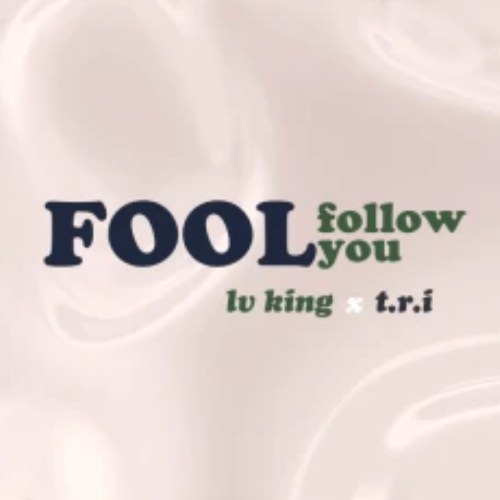 Fool Follow You (Single)