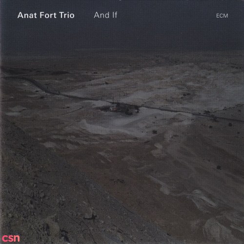 Anat Fort Trio