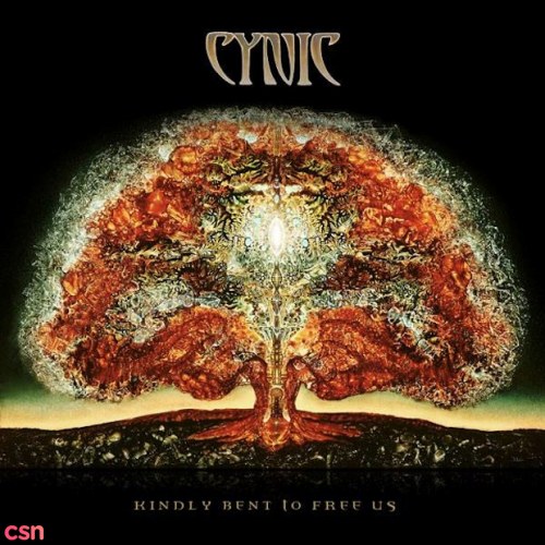 Cynic