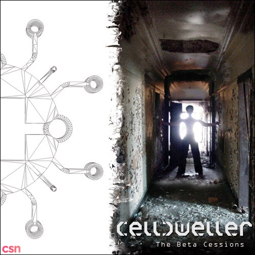 Celldweller