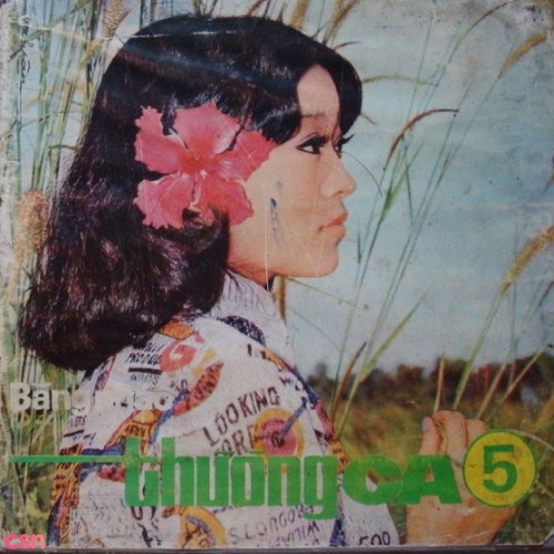 Thanh Tuyền